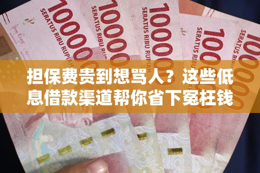 济南担保费贵到想骂人？这些低息借款渠道帮你省下冤枉钱