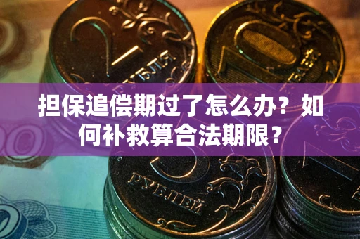 济南担保追偿期过了怎么办？如何补救算合法期限？