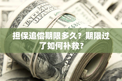 济南担保追偿期限多久？期限过了如何补救？