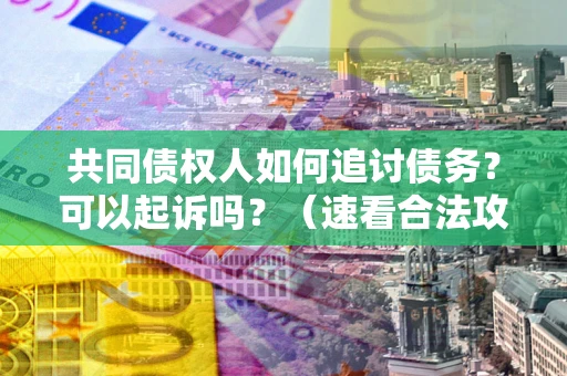 济南共同债权人如何追讨债务？可以起诉吗？（速看合法攻略）